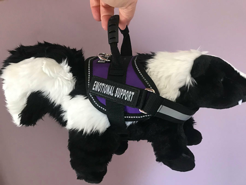 Emotional Support Striped Skunk