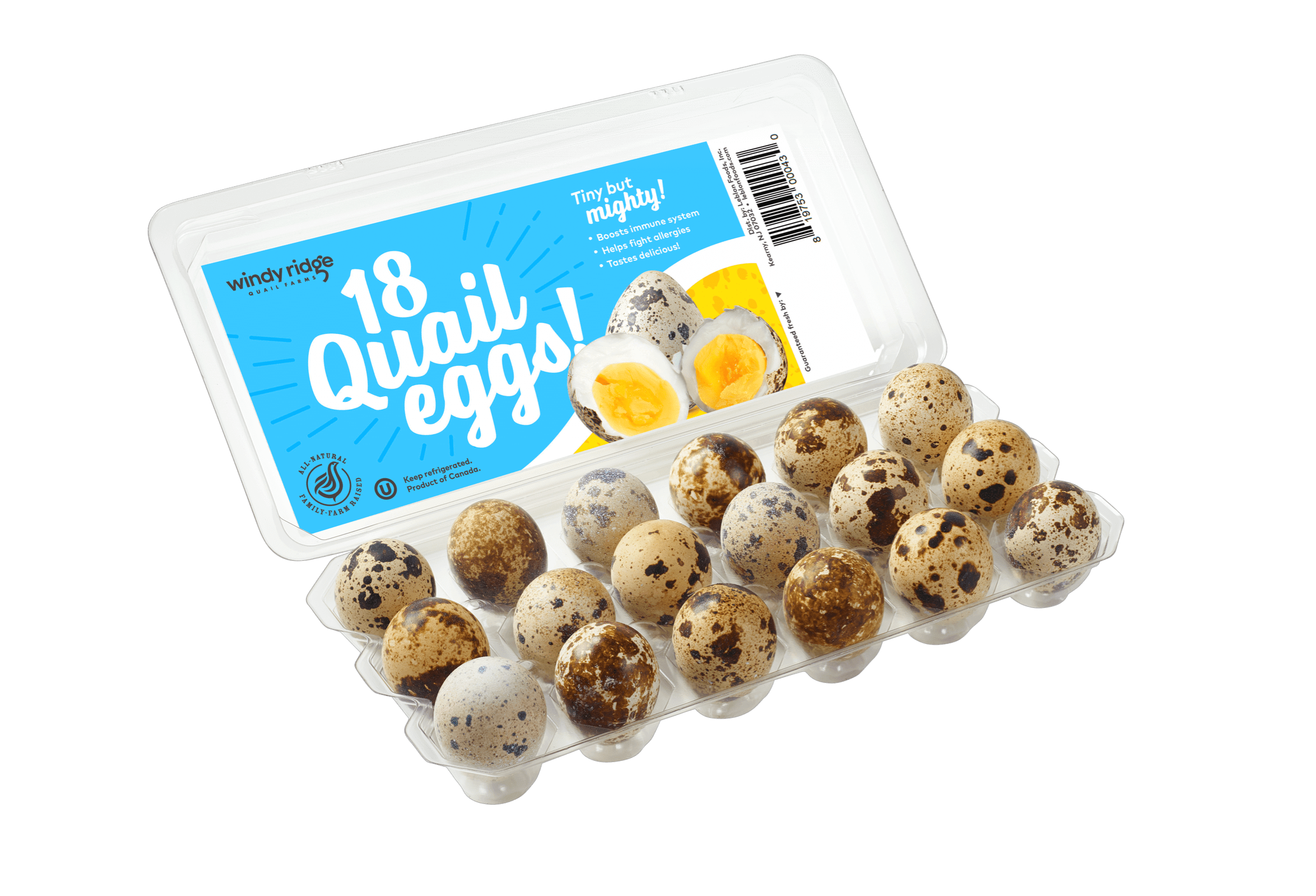 Quail Eggs Windy Ridge Quail Eggs