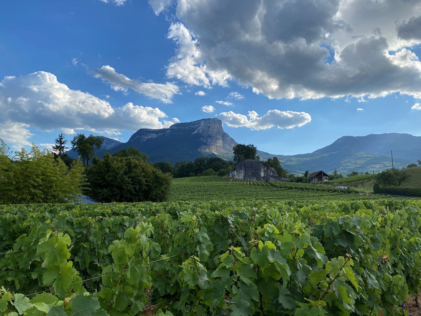 La Maison Philippe Viallet En Savoie, 60 Ans D'histoire... MaCave E