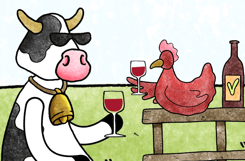 Is Wine Vegan? We Explain How To Make Vegan Wine