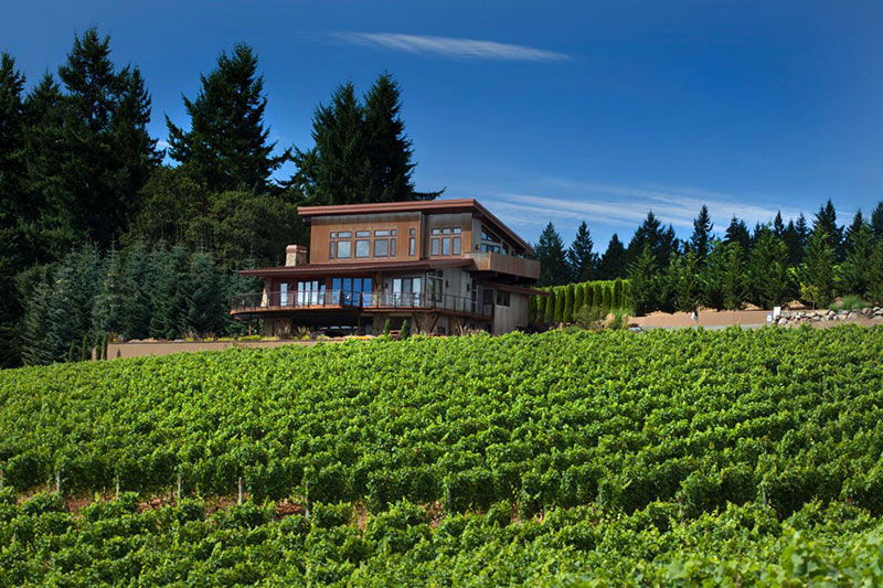 Dundee Hills vineyard changes hands after more than two decades