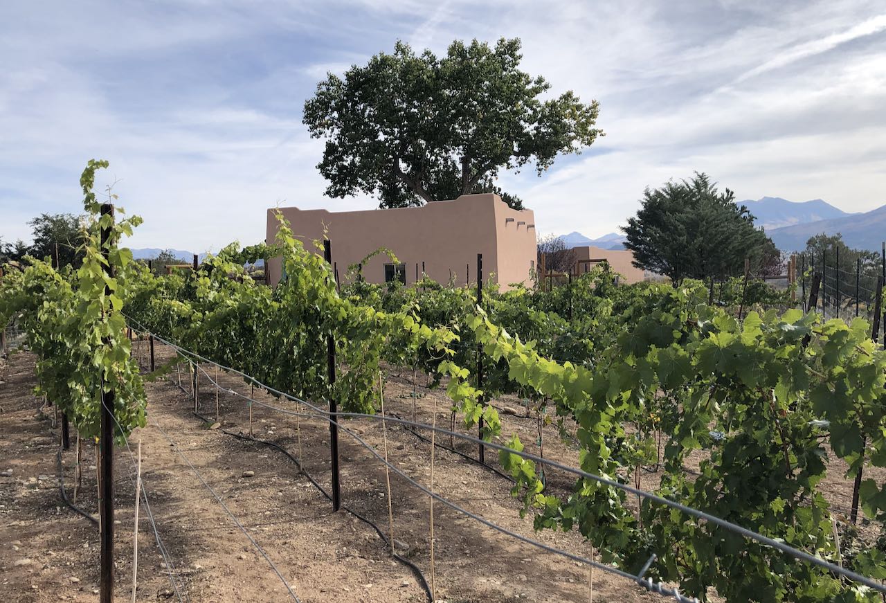 Your Guide to CO Wine Festivals in 2024 (Thirst Colorado) Marshall's