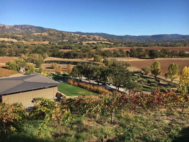 Saracina Vineyards Learn About Mendocino Wine (VIRTUAL WINE TASTING