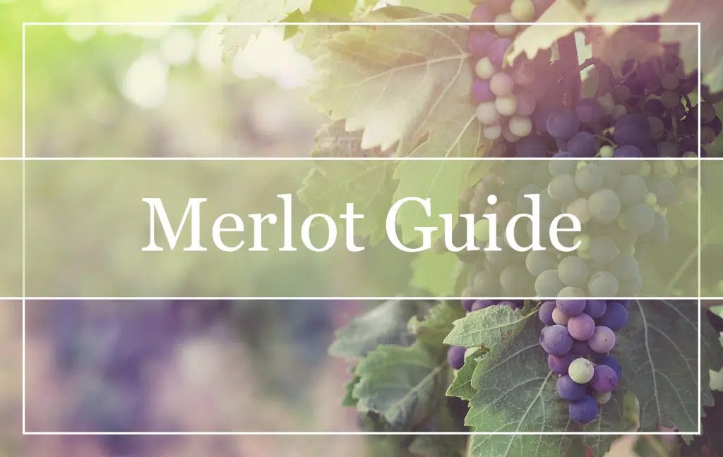 What is Merlot Wine? All You Need to Know to WinePros!