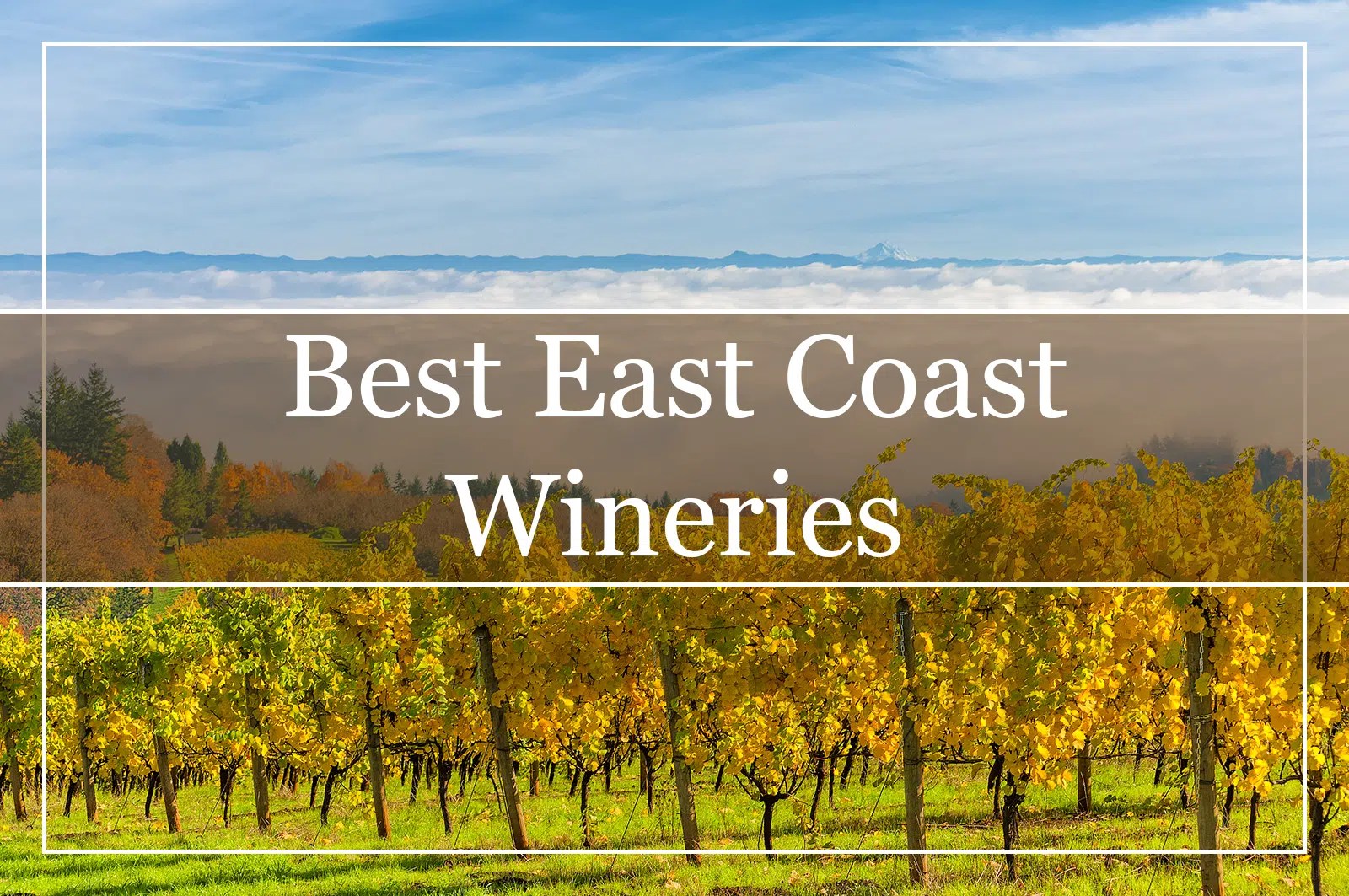 10 Best East Coast Wineries According to Us to WinePros!