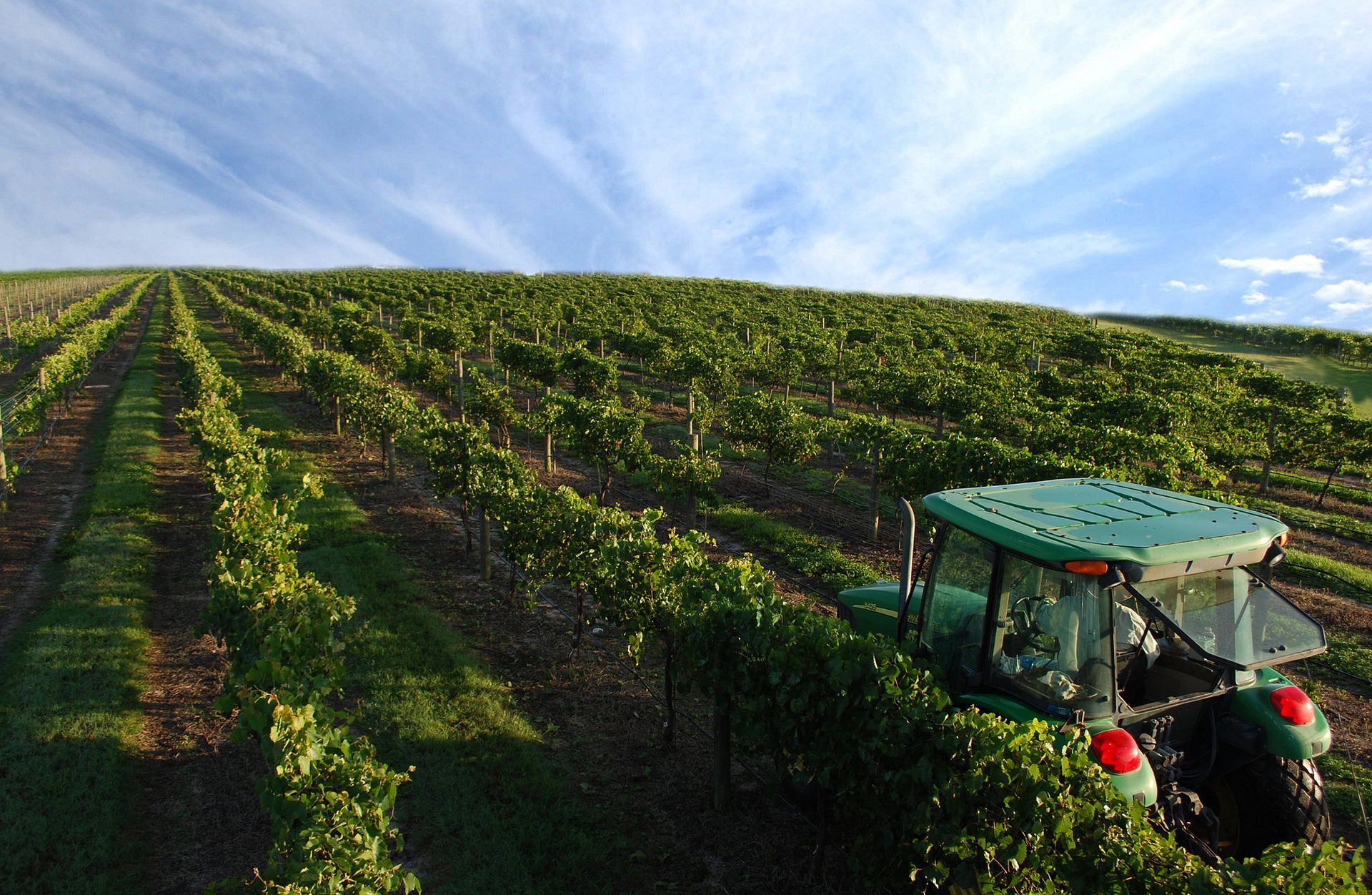 Florida Wineries Sipping Wine in the Sunshine State Wine with Paige