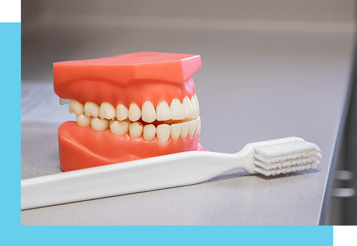 How to Care for Dentures 6 MustKnow Steps Windsor Family Dental Windsor, WI 53598