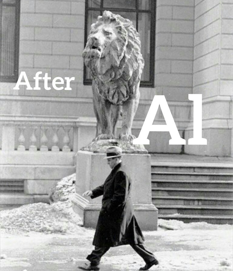 Winfield Public Library Winfield, Illinois