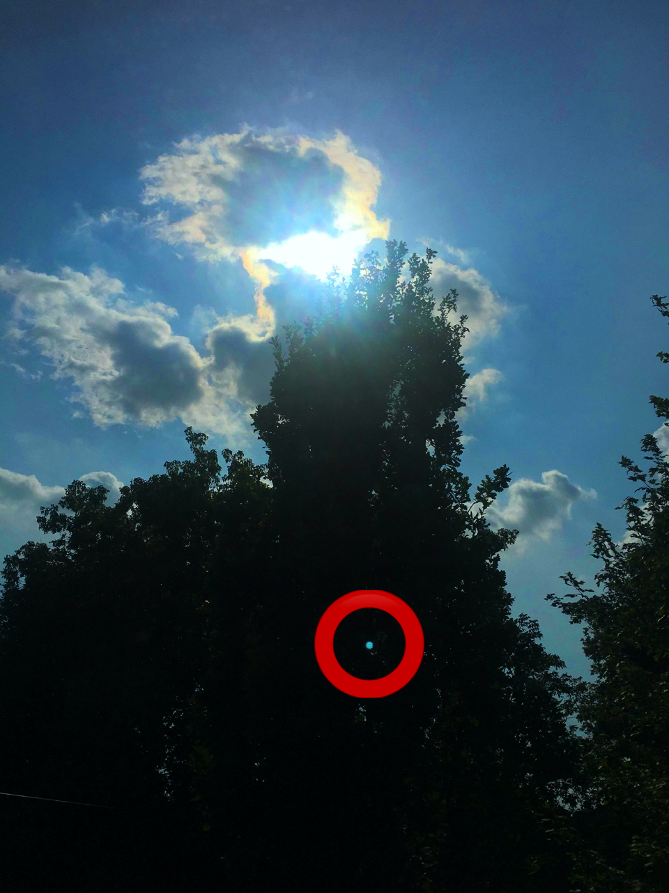 How Do I Get Rid Of Those Annoying Light Dots When Taking Pictures On