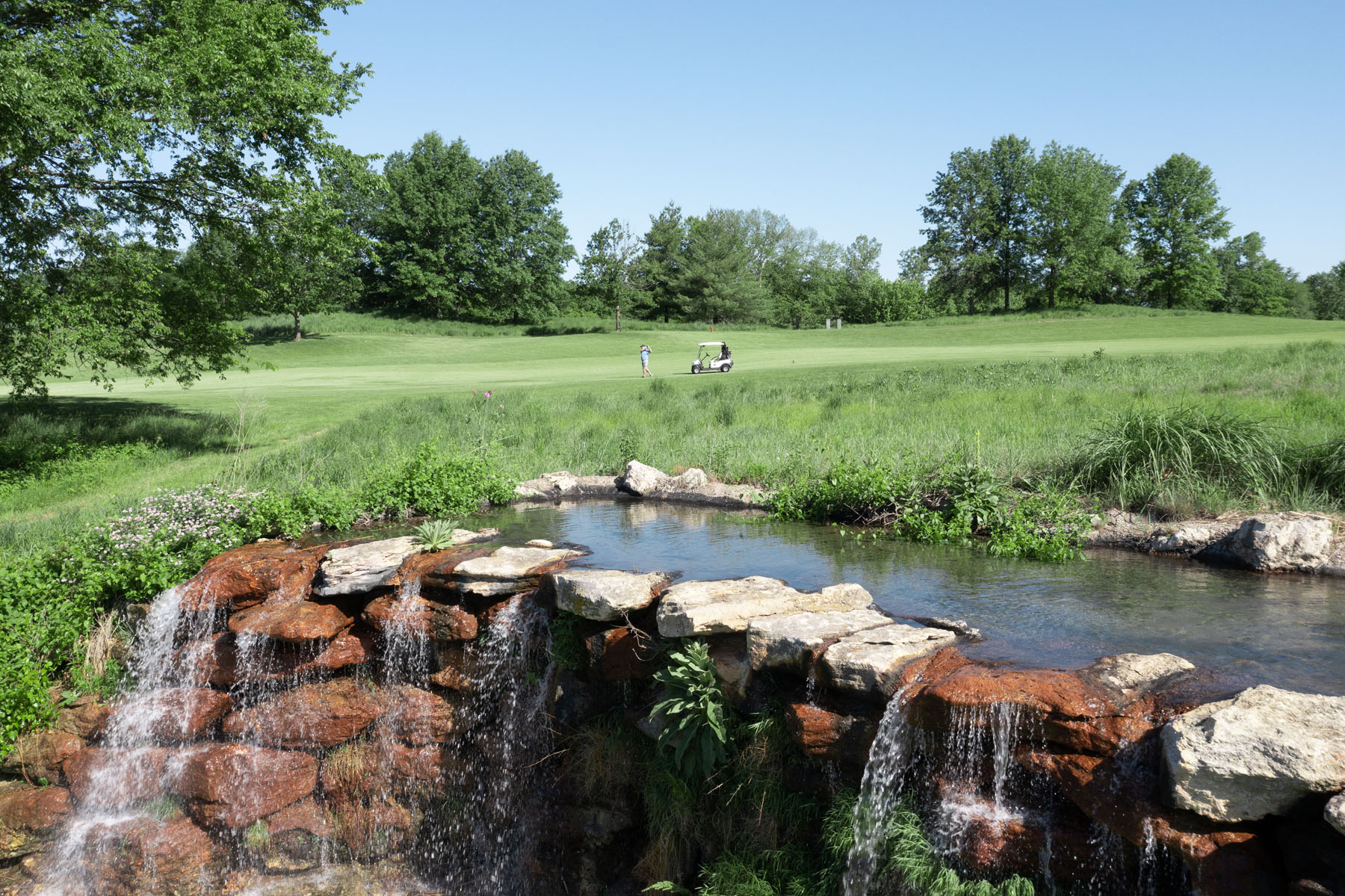 WingHaven Country Club Home Page