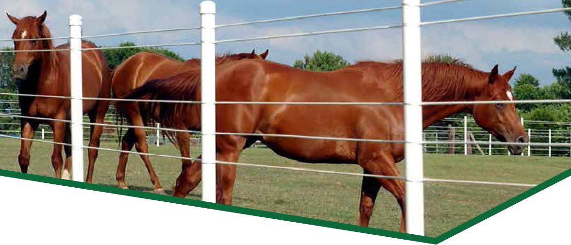 Winning Post Fencing PolyPlus Coated Wire