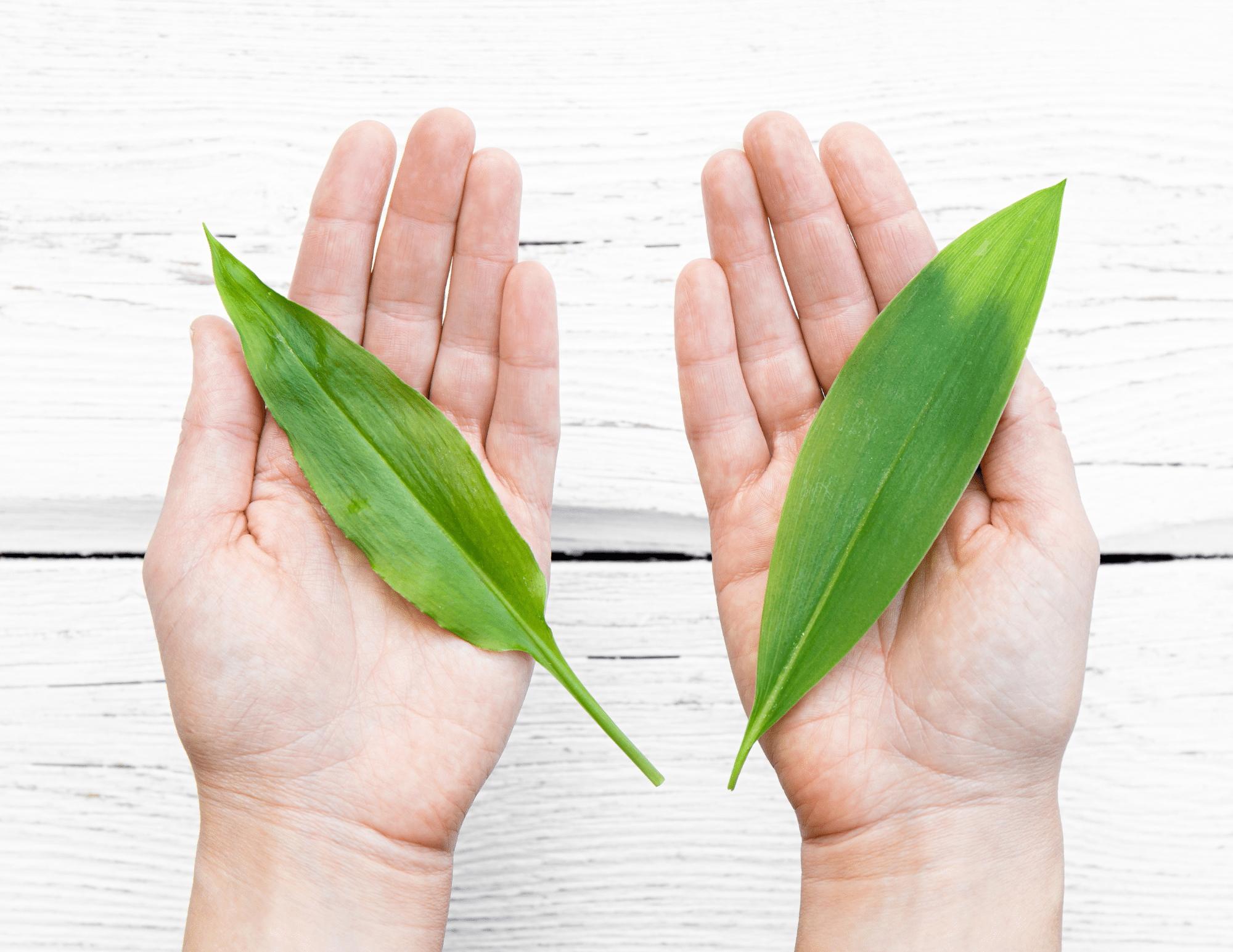 Endowments and quasiendowments Similar, but not exactly the same