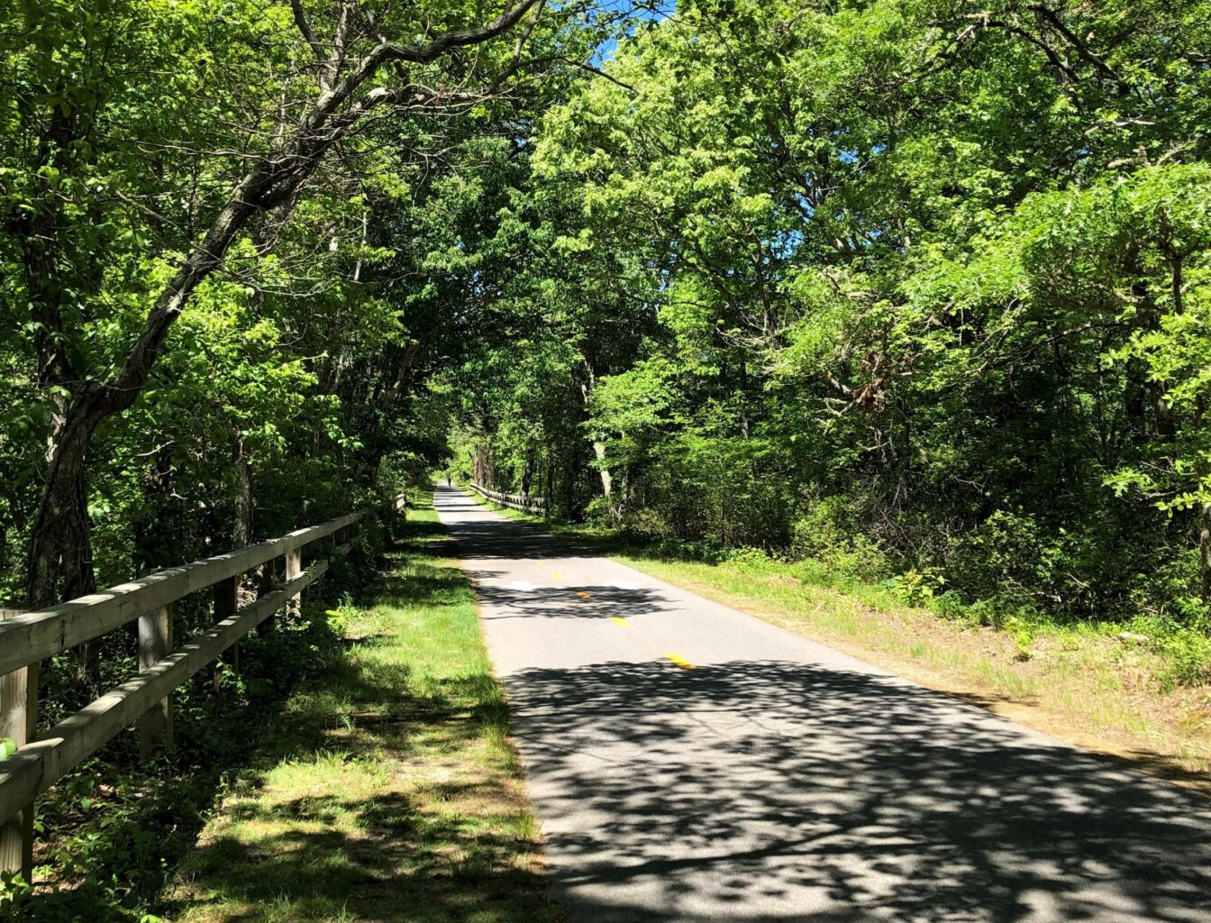 Cycling Through Harwich on the Cape Cod Rail Trail Winstead Inn and