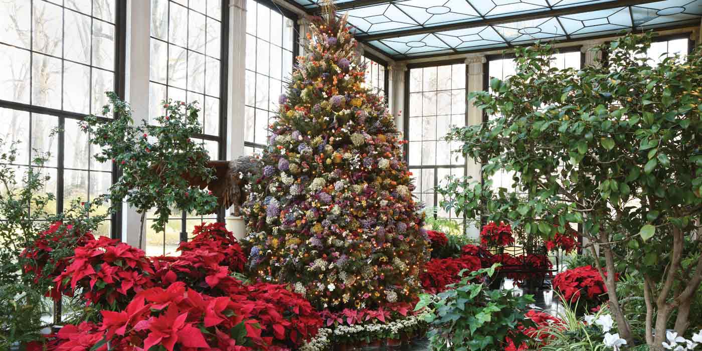 Winterthur Christmas 2022 Yuletide At Winterthur - Winterthur Museum, Garden & Library