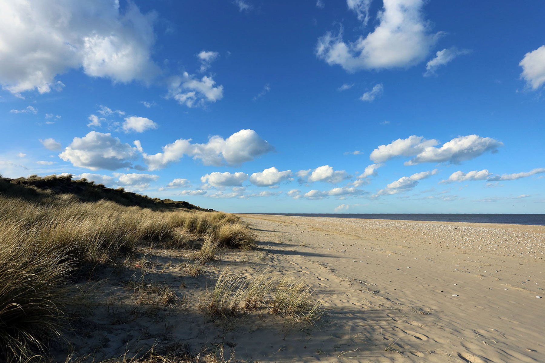 WintertononSea A dog friendly holiday resort. The village website.