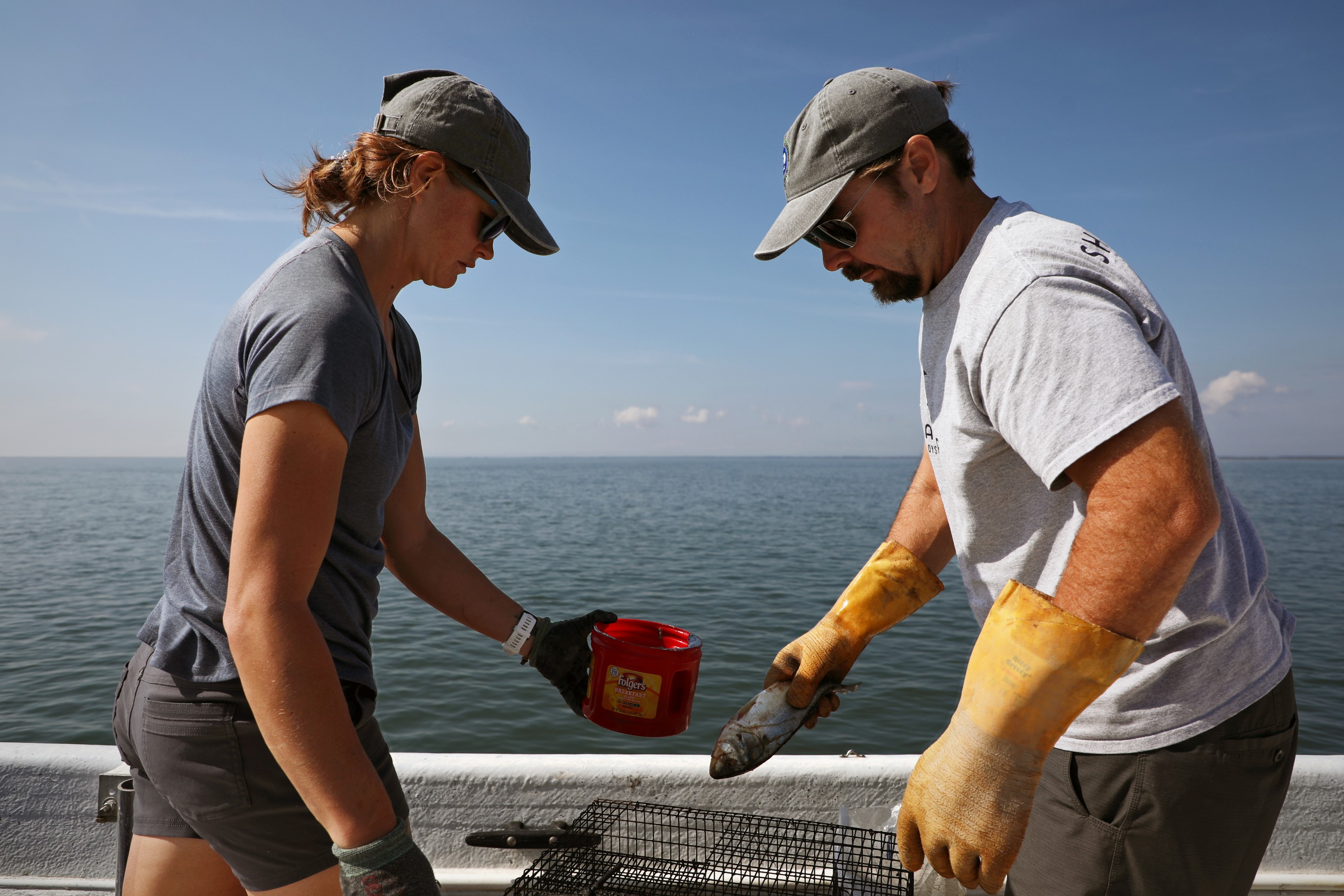 Winthrop Job Postings at Jean Reber blog