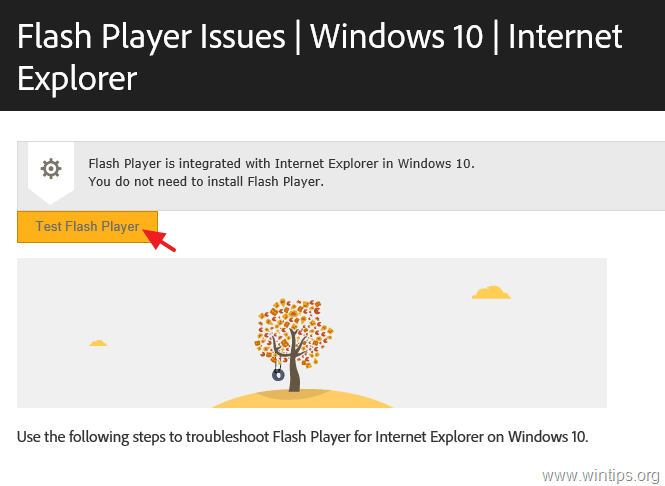How To Install Flash Player On Server 2016/2019. - Wintips.org - Windows Tips & How-Tos