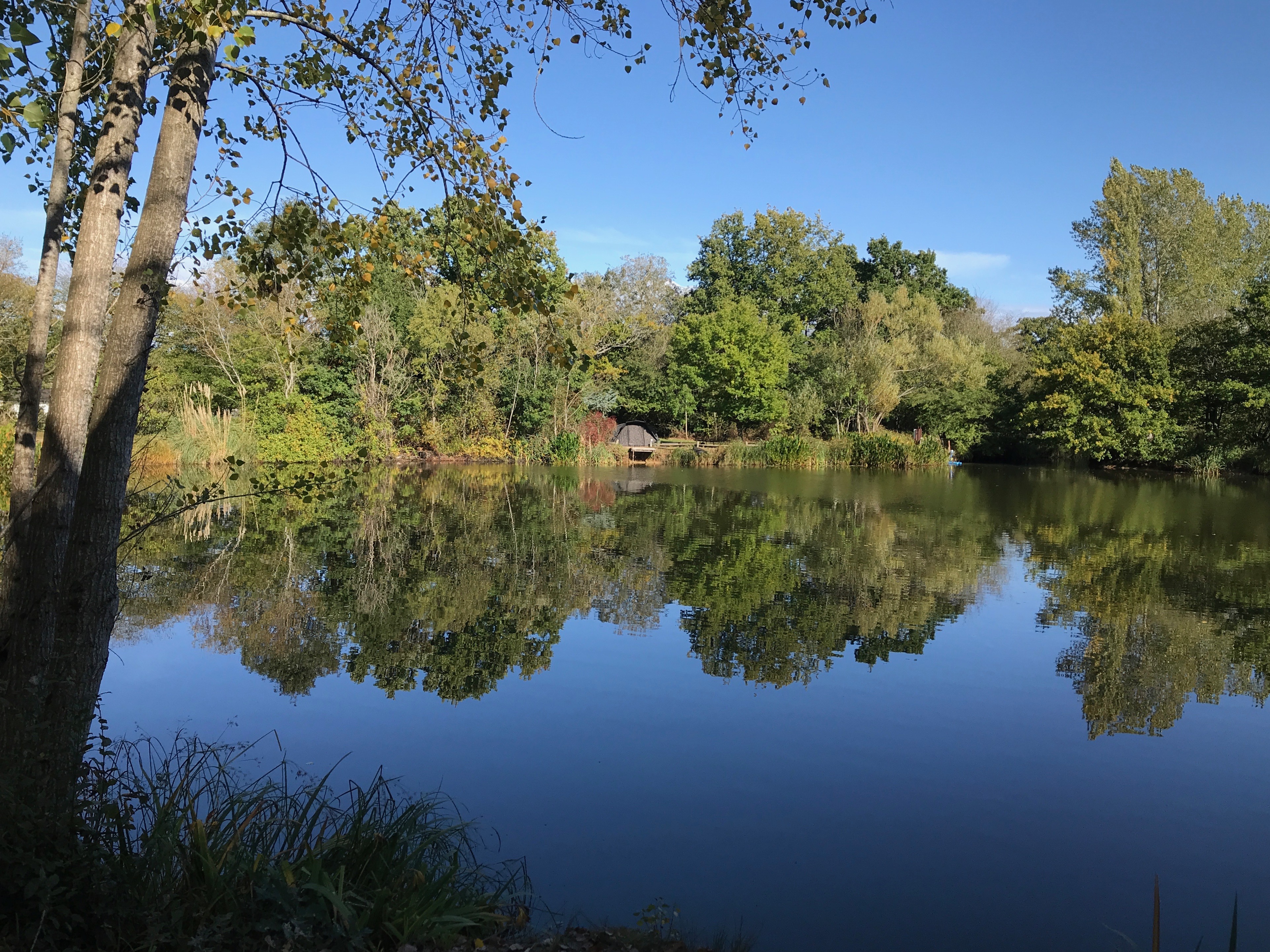 Kingfisher Lake Wintons Fishery