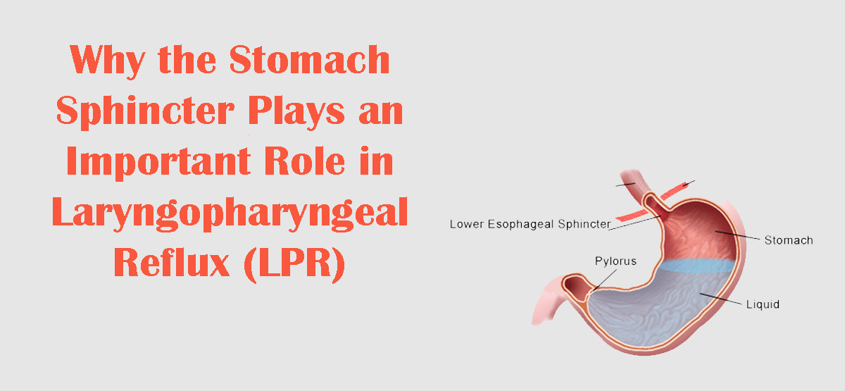 Why the Stomach Sphincter Plays an Important Role in LPR