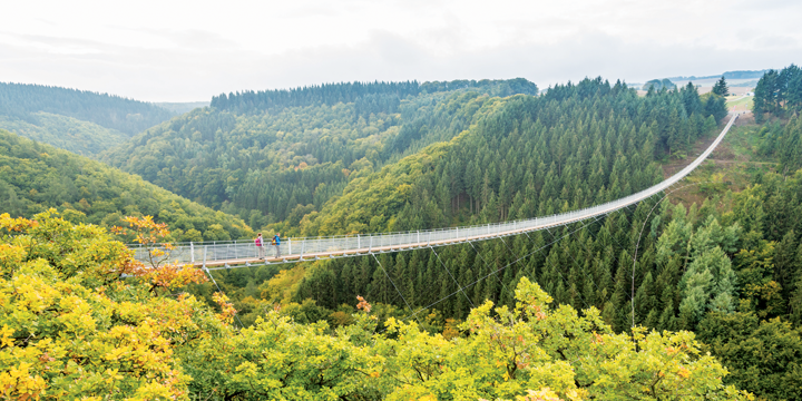Wandern in RheinlandPfalz Die besten Wandertouren für den Herbst