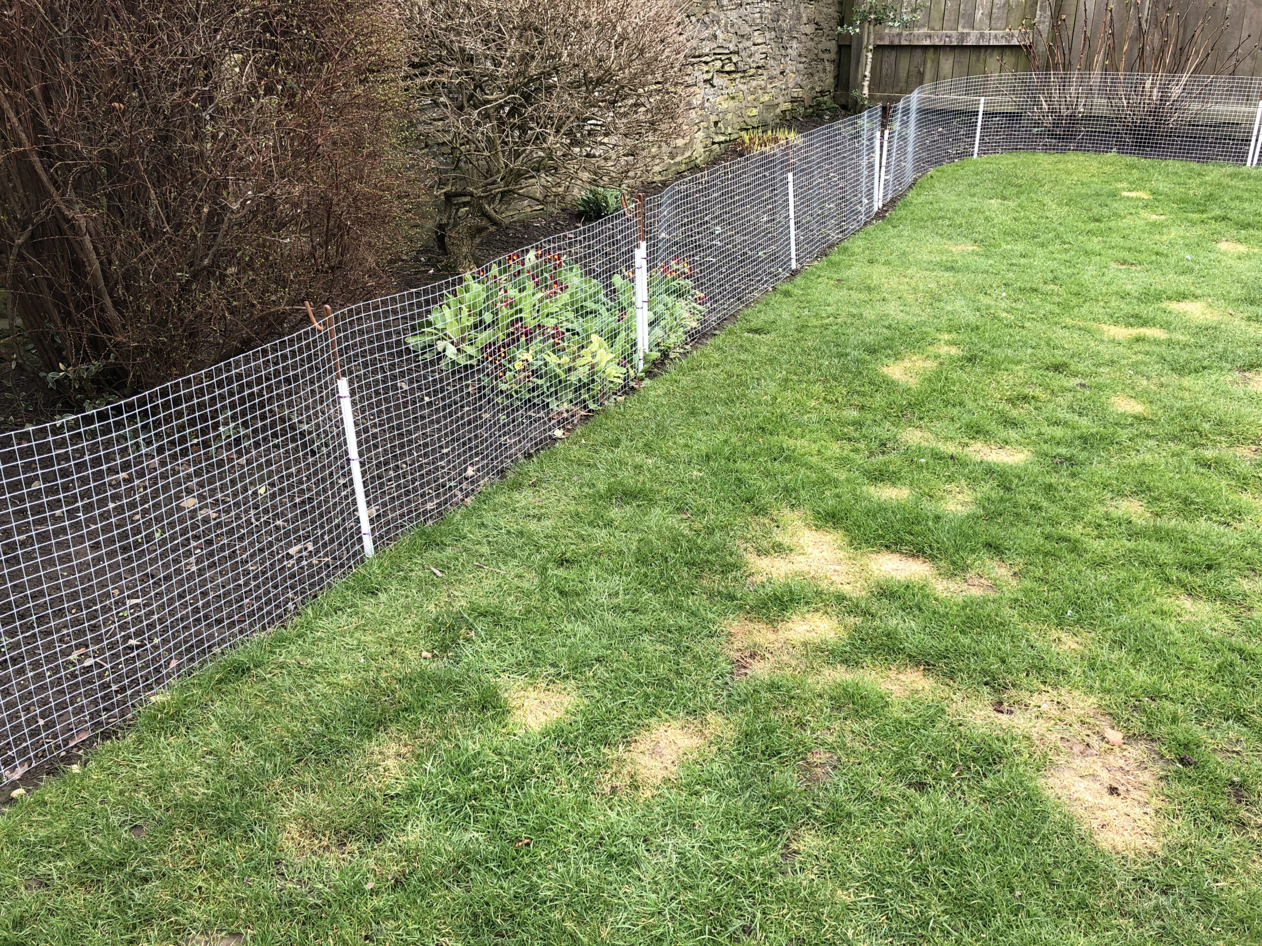 Dog Fence UK Suppliers (QUICK DELIVERY) Wire Fence