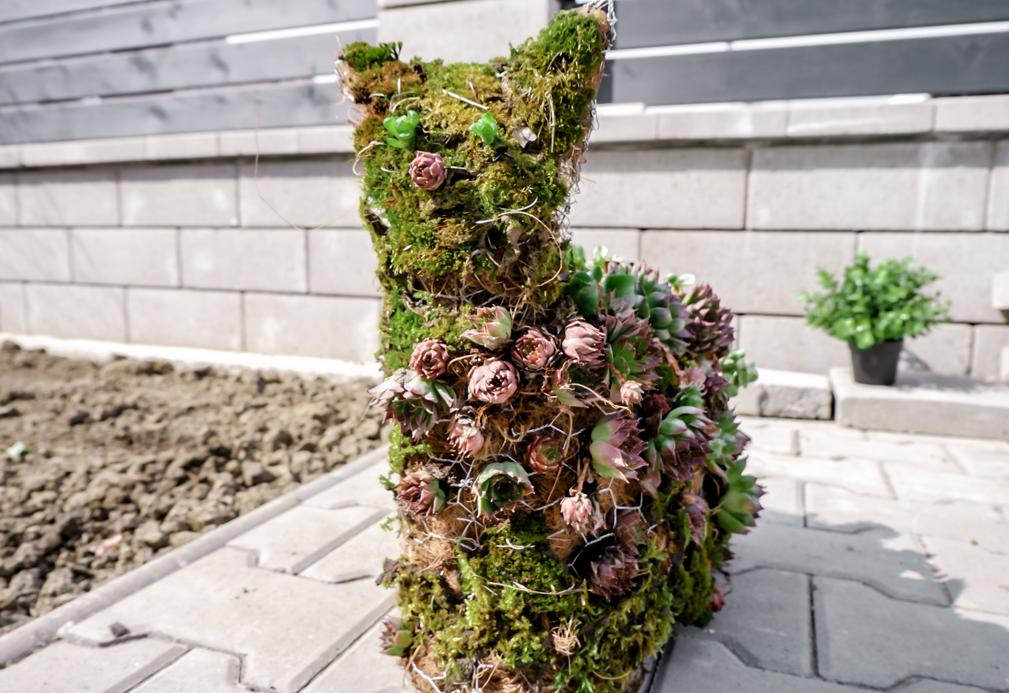How to Make Topiary Frames with Chicken Wire (Easy Guide) Wire Fence