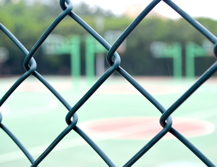 Diamond Wire Mesh, Galvanized Chain Link Mesh, PVC Coated Chain Link