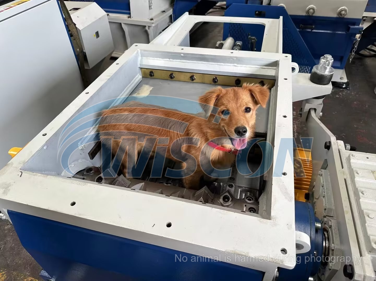 Animal Carcass Shredder Corpse Disposal Animal Shredding