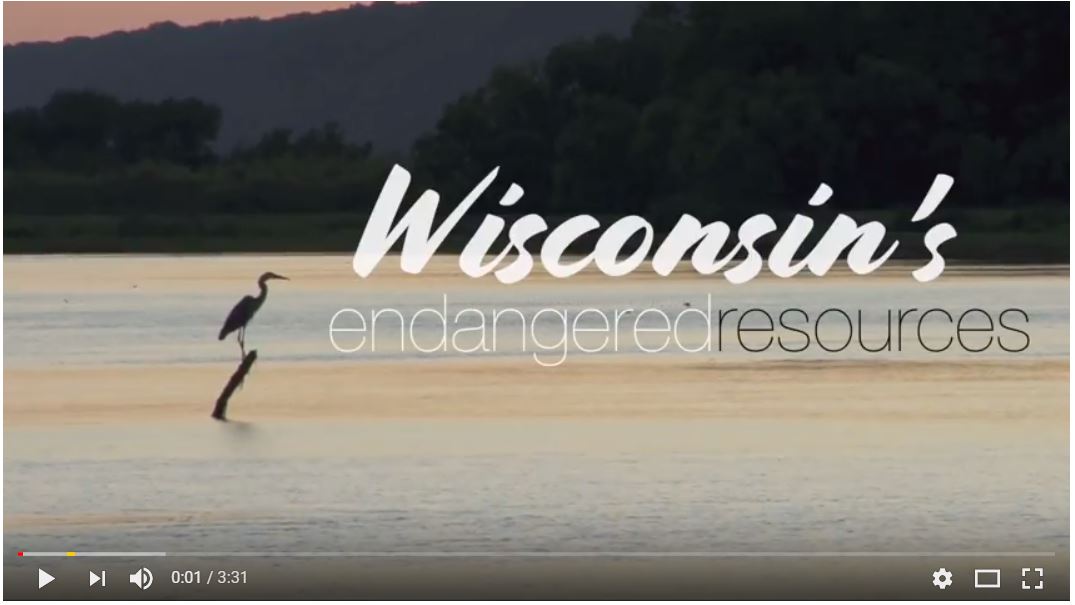 Endangered Resources Fund video shows Wisconsin's incredible wildlife