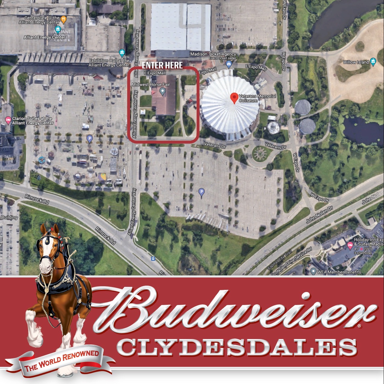 Budweiser Clydesdales back for Brat Fest Wisconsin Distributors