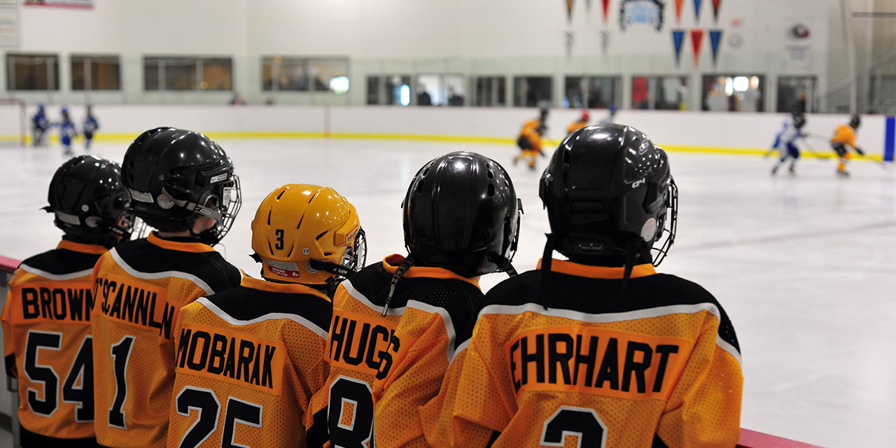 Lake Delton Ice Arena WisDells