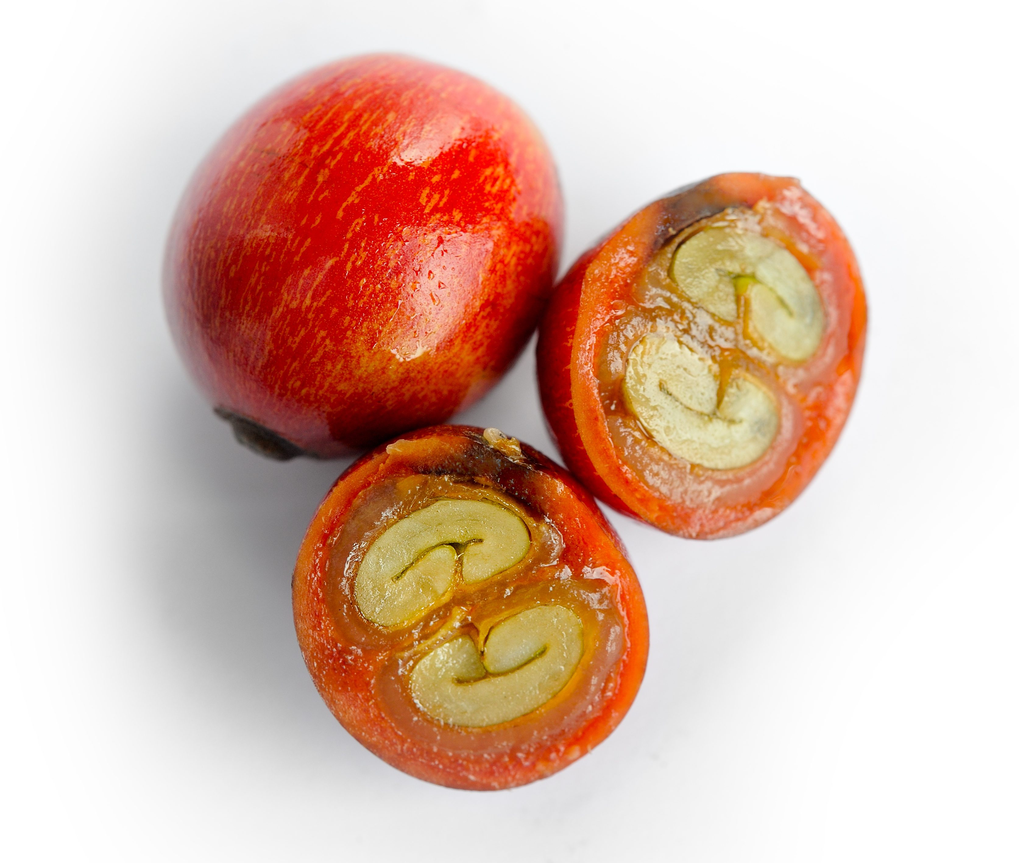 Ultimate Guide Breaking Through the Low Carb Weight Loss Plateau