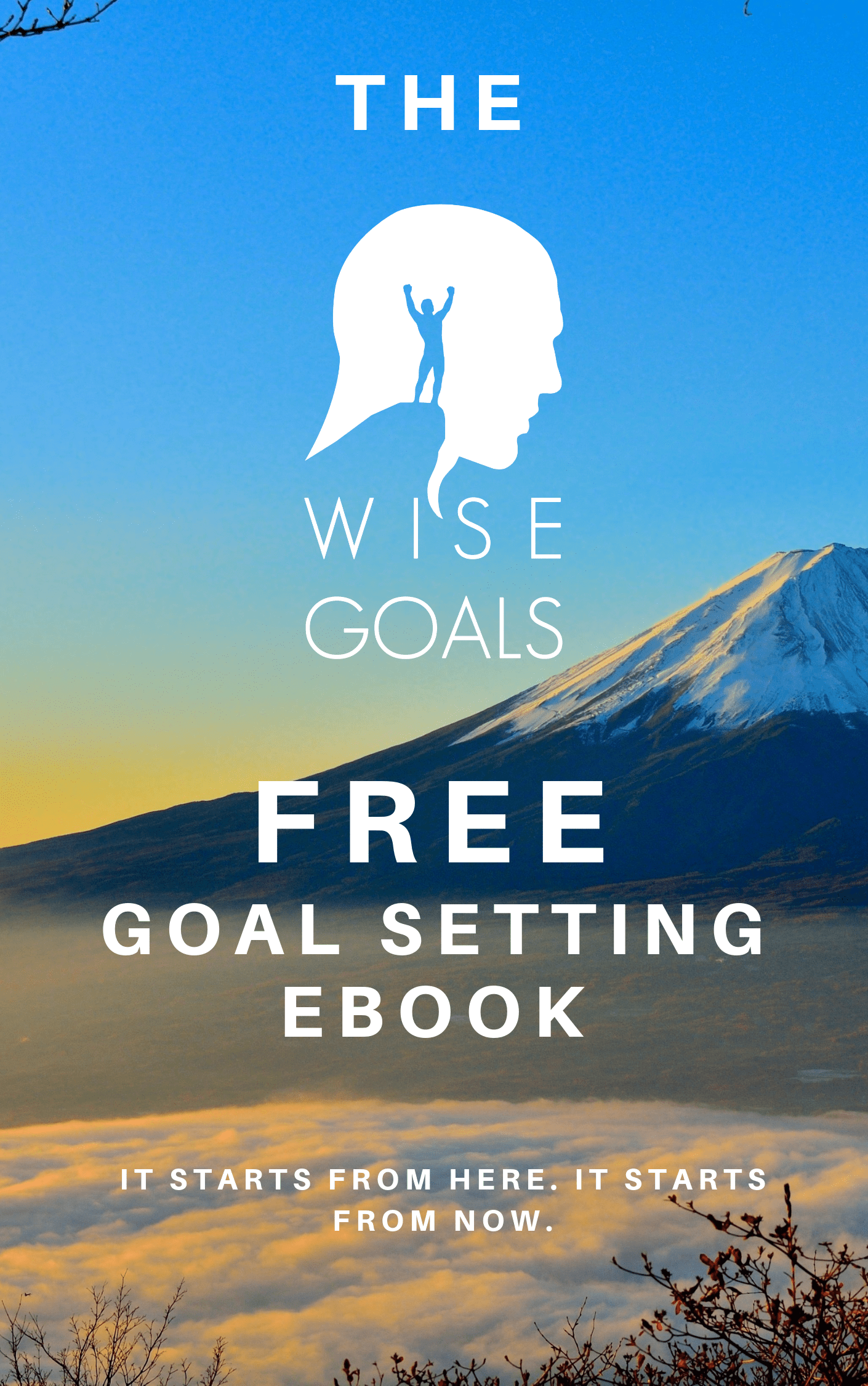 Free Goal Setting Ebook from Wise Goals