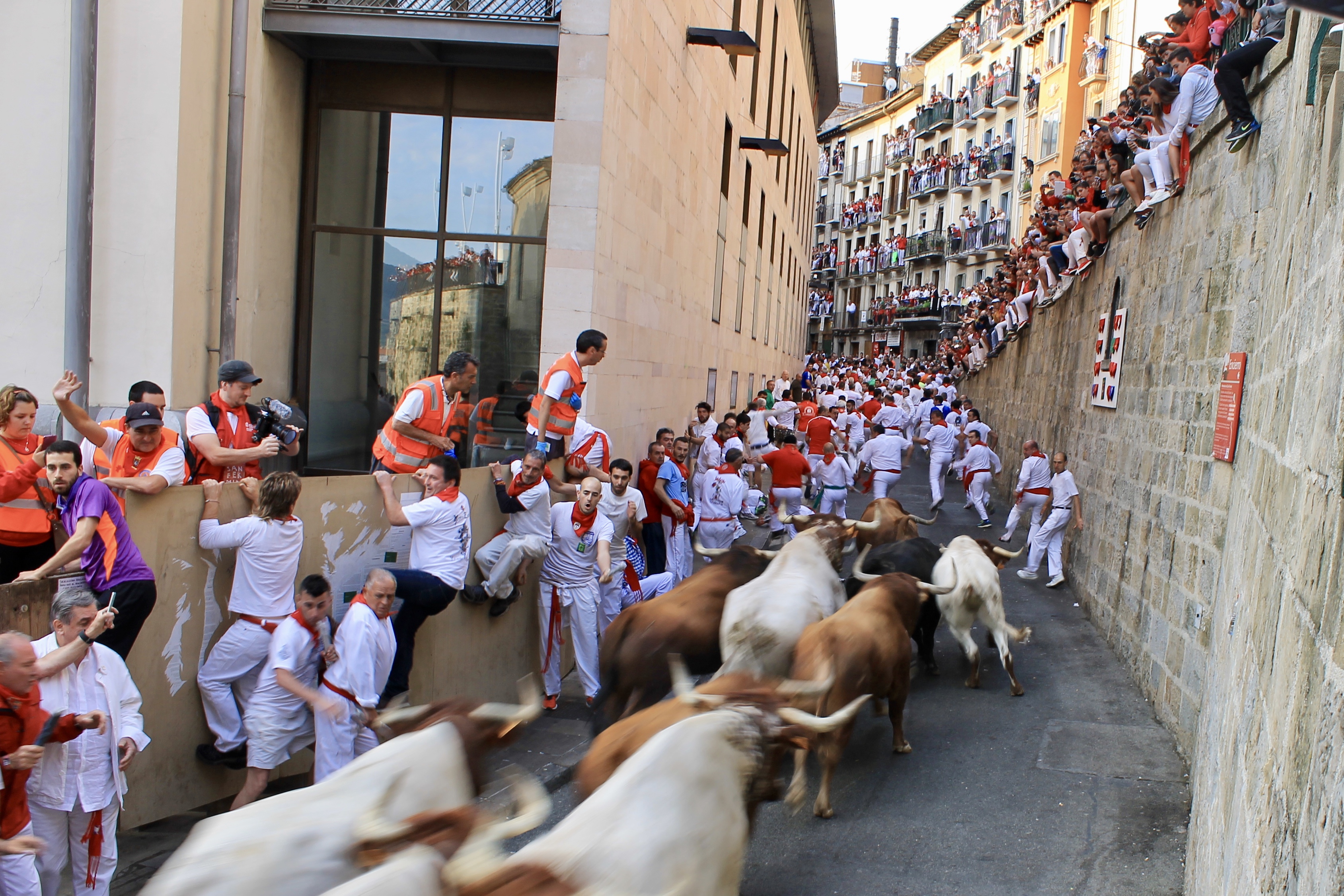 Chapter 5 The Wishing Well (Part II) Wiser for Wandering