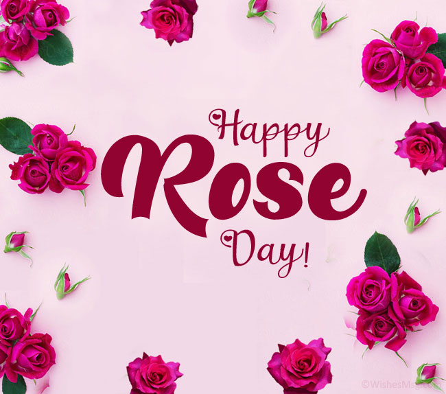 100+ Rose Day Wishes, Messages and Quotes WishesMsg