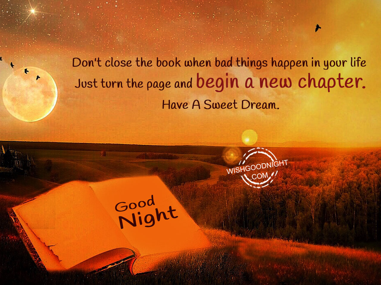 Good Night Wishes Good Night Pictures