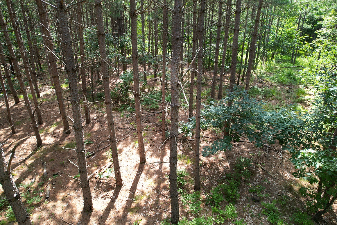 Juneau County, WI 6 Acres of Land for Sale near Castle Rock Lake! Wisconsin Lakes Realty