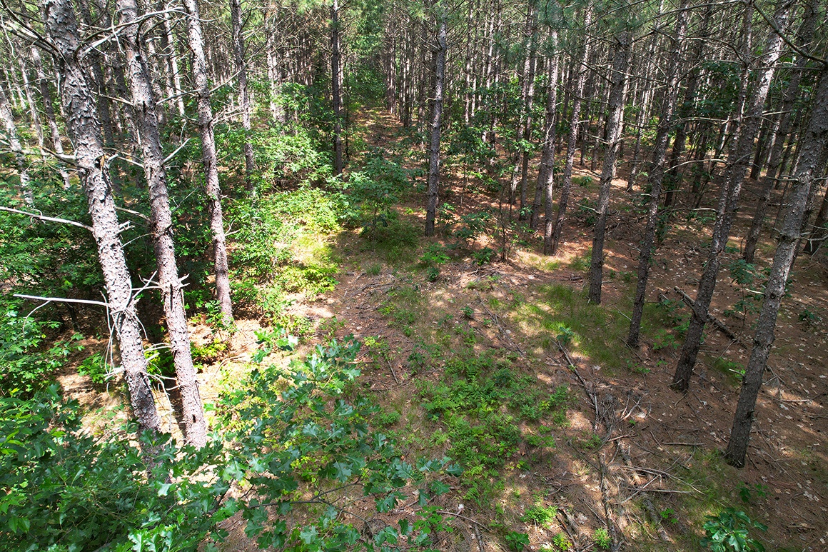 Juneau County, WI 6 Acres of Land for Sale near Castle Rock Lake