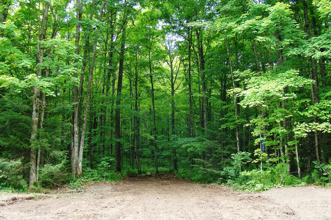 Lake Arbutus Area Land for Sale! Wisconsin Lakes Realty