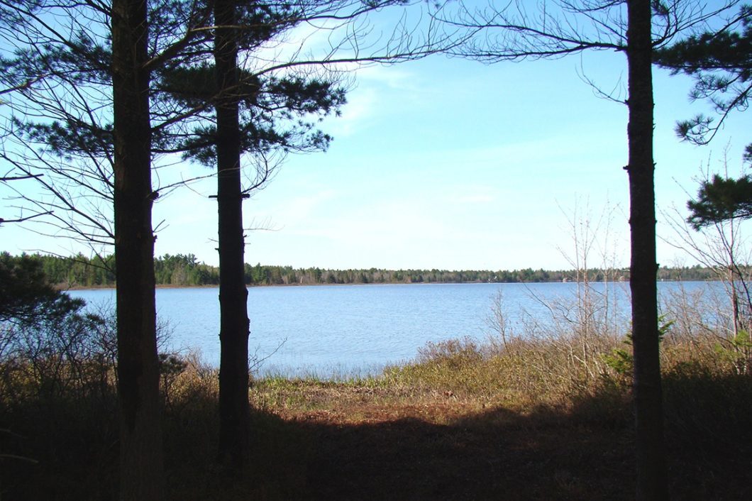 Michigan UP Lakefront with 115’ of Sand Shoreline on 700 Acre Rice Lake