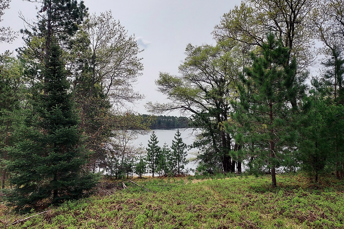 Northern WI Lakefront Cabin Property near Rhinelander! Wisconsin