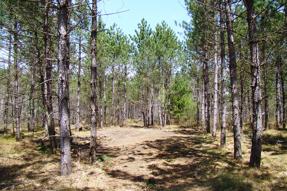 Central Wisconsin Property for Sale Wisconsin Lakes Realty