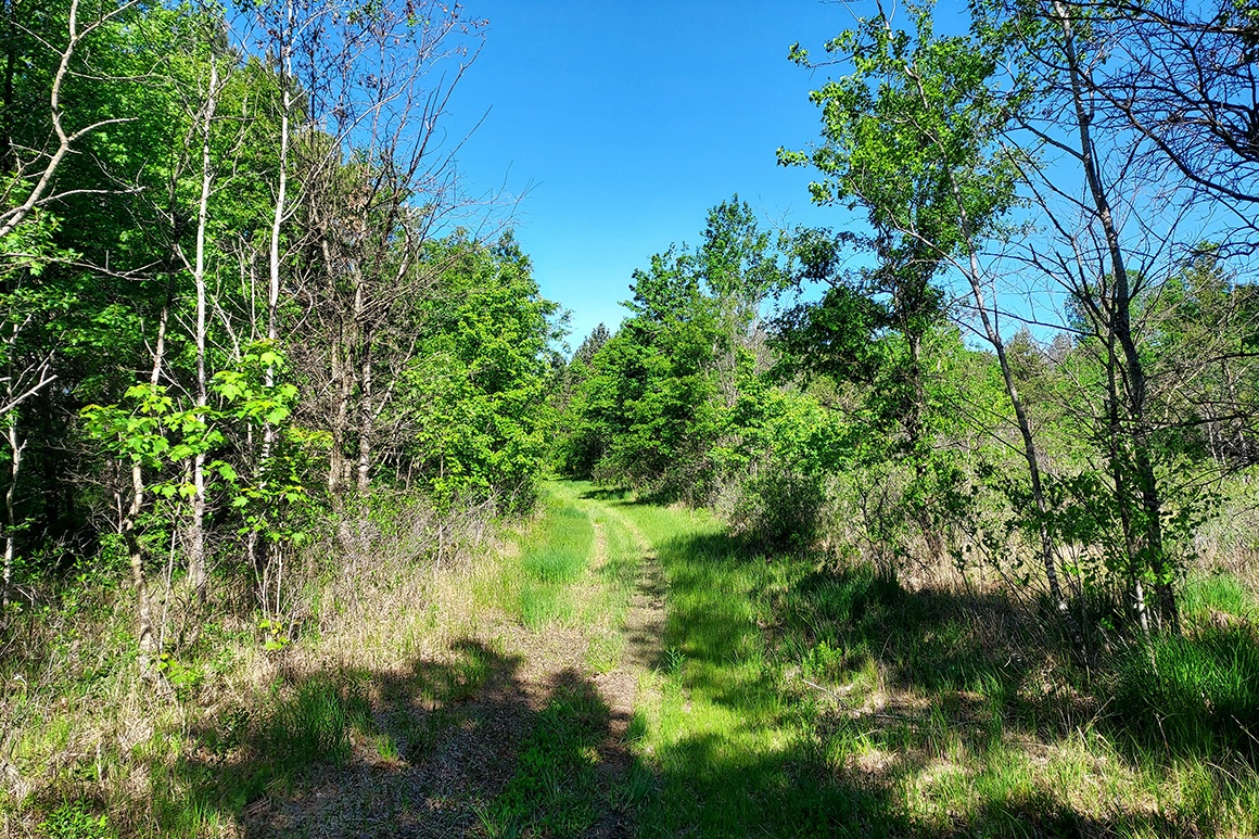 Central WI Wooded Land for Sale 11 Acres! Wisconsin Lakes Realty