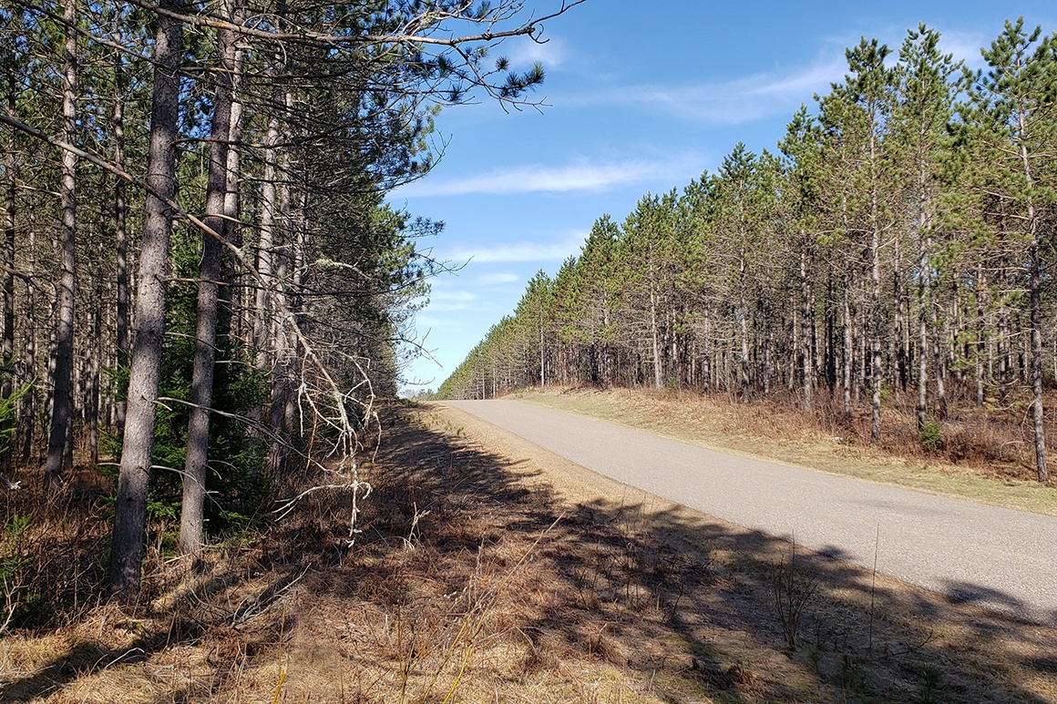 Wisconsin Hunting Land for Sale! Wisconsin Lakes Realty