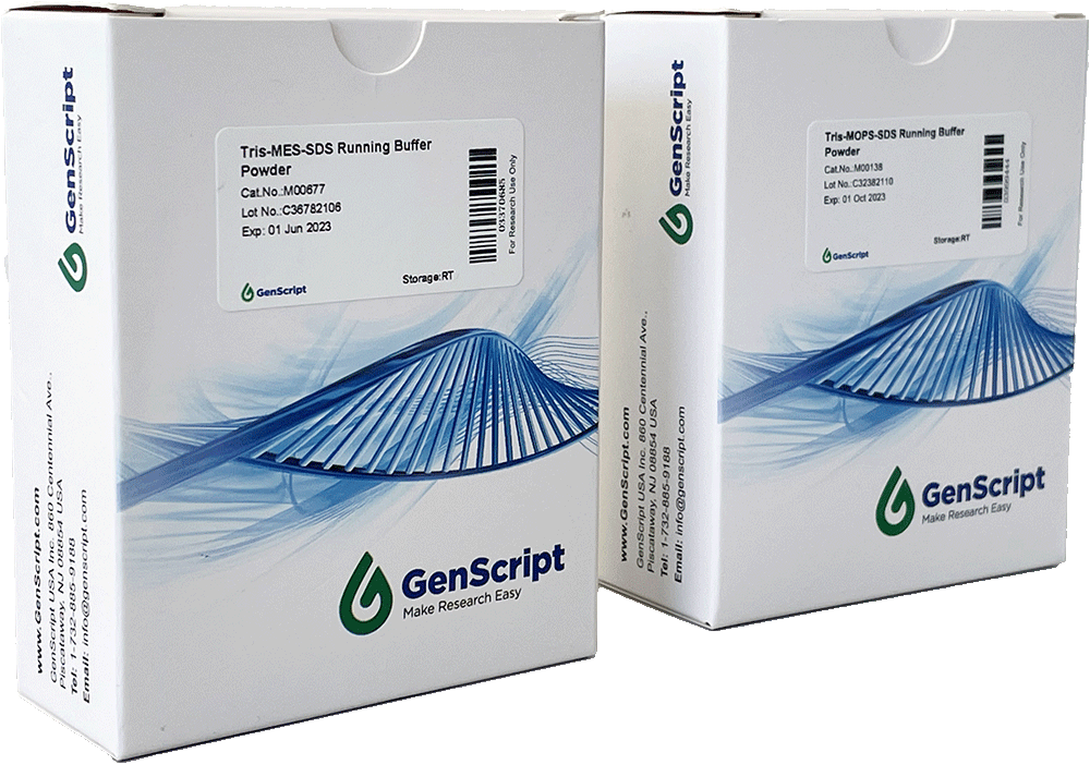 MES SDS Running Buffer Powder Witec AG