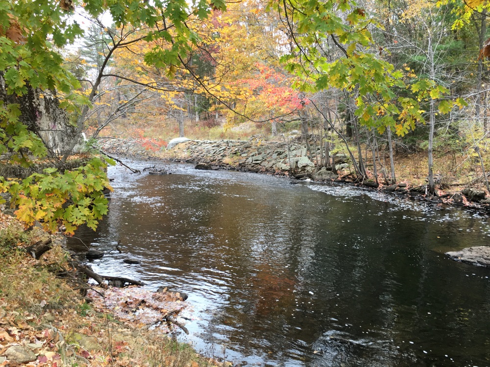 Grand Trunk Trail to East Brimfield Dam Sturbridge With Eager Feet