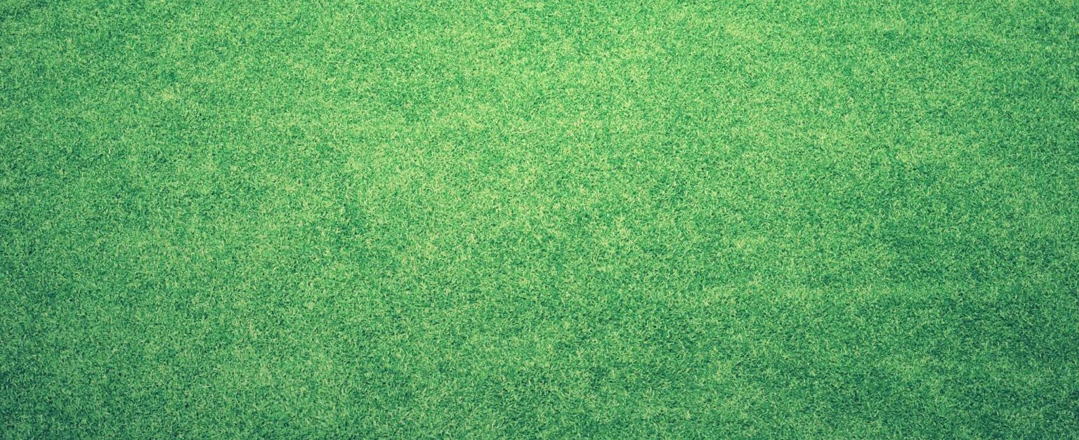 How Much Does Artificial Grass Cost? Within Home