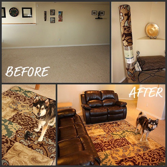 A Room Comes Together with Mohawk Rugs With Our Best Denver