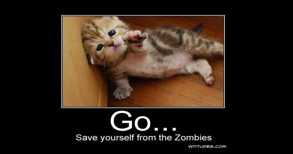 Go save yourself kitten Wititudes