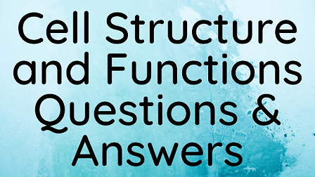 Cell Structure and Functions Questions & Answers | WittyChimp
